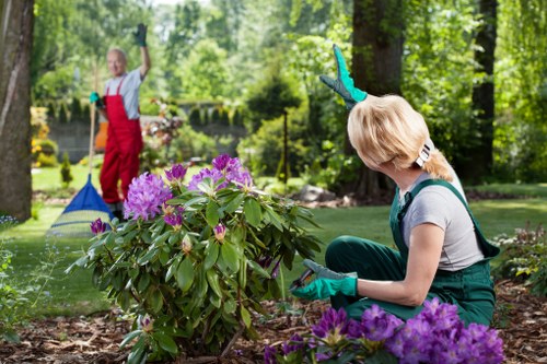 Professionals performing garden clearance in Walthamstow