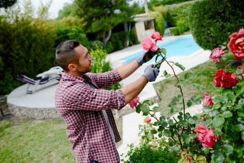 Professional tree lopping services in Walthamstow
