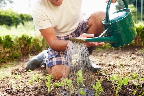 Gardener assessing a front garden before starting work
