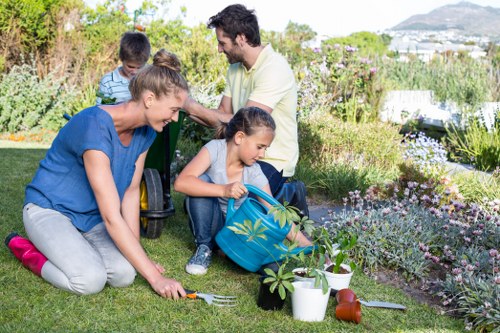 Gardener inspecting a medium-sized Victorian terrace garden for a free quote