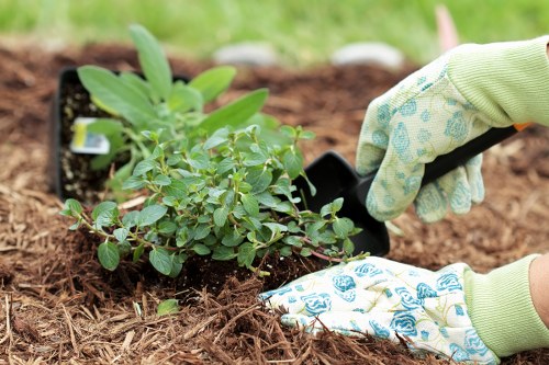 Seasonal gardening services in action