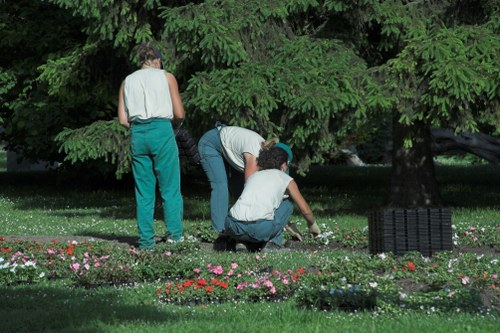 Eco-friendly tree management practices in Walthamstow