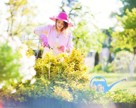 Summer garden care with lush plants in Walthamstow