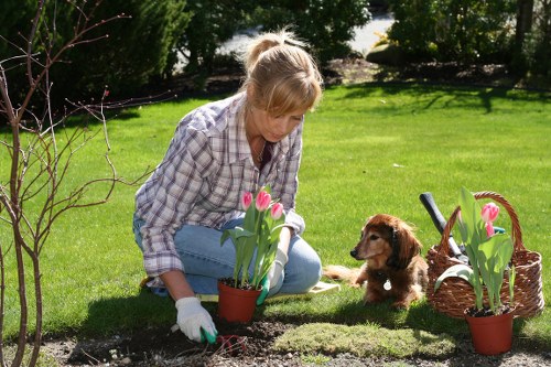 Invoice and bank transfer details for gardening services payment