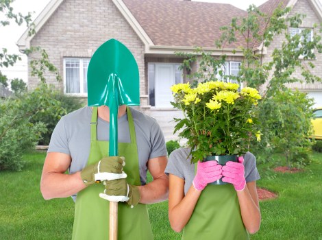 Lush green garden with professional maintenance