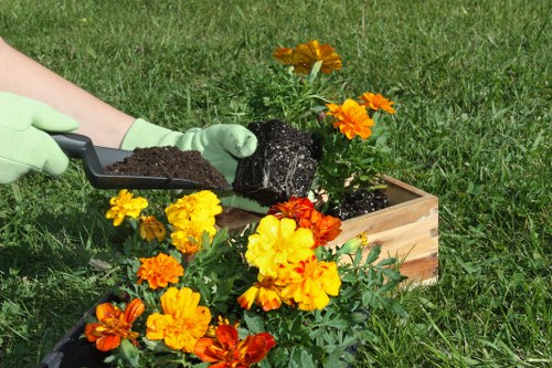 Comprehensive gardening services including design and maintenance